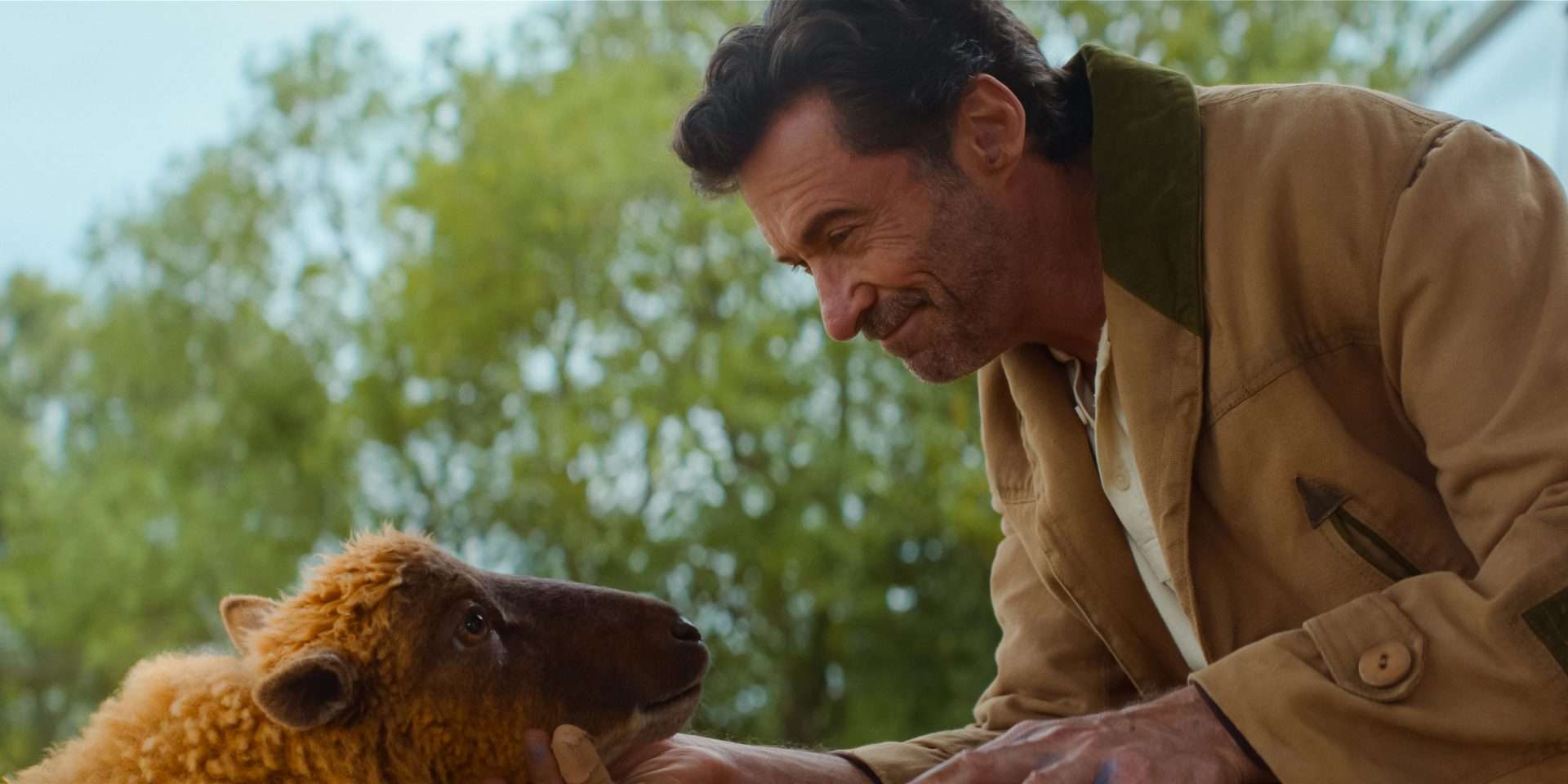 Why Hugh Jackman Fell In Love With 'Sheep Detectives'